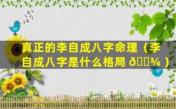 真正的李自成八字命理（李自成八字是什么格局 🌾 ）